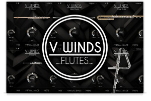 AcousticSamples VWinds Flutes