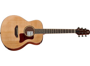 Harley Benton CLGS-10S Travel