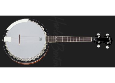 Harley Benton HBJ-24