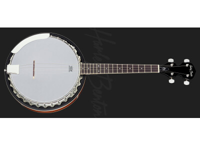 Harley Benton HBJ-24