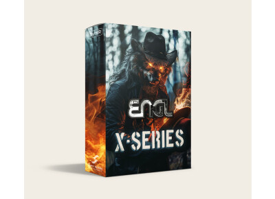 Two Notes Audio Engineering ENGL X-Series