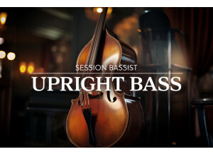 Native Instruments Session Bassist Upright Bass