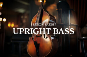 Native Instruments Session Bassist Upright Bass