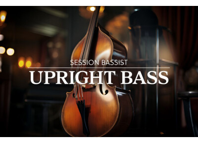 Native Instruments Session Bassist Upright Bass