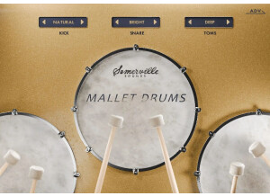 Somerville Sounds Mallet Drums