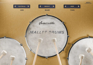 Somerville Sounds Mallet Drums