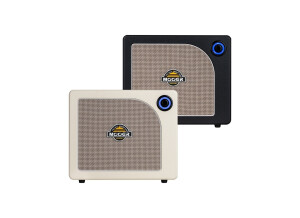 Mooer Hornet 30i