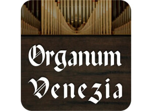 Best Service Organum Venezia (2024)