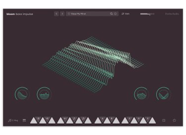 Excite Audio Bloom Bass Impulse