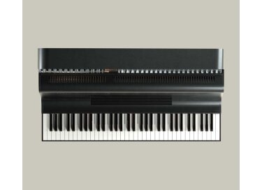 Keybird Instruments X1