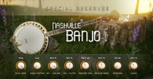 Impact Soundworks Nashville Banjo
