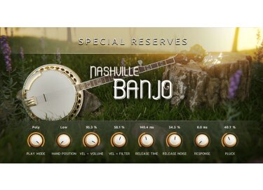 Impact Soundworks Nashville Banjo