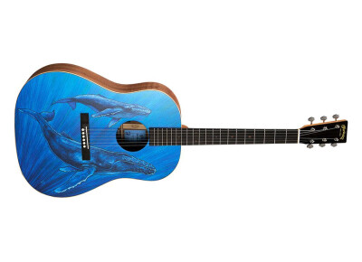 Martin & Co DSS Biosphere II