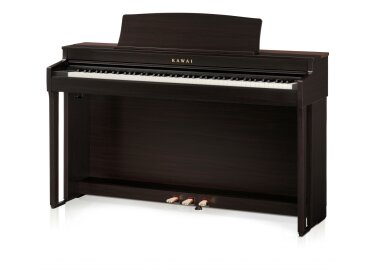 Kawai CN 301