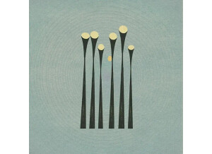 Wrongtools Bone Chain