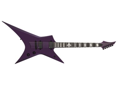 Solar Guitars X1.6KW