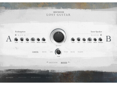 Westwood Instruments Lost Guitar