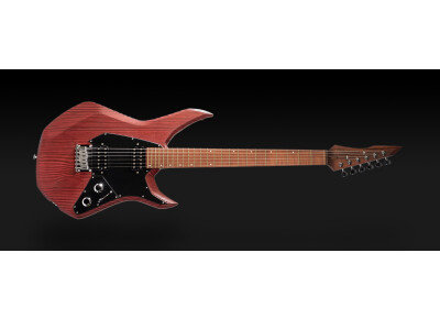 Flamel Guitars Arsenic - Standard