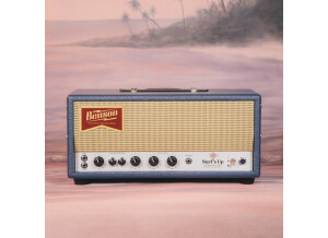 Benson Amps Surf's Up