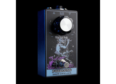 Fuzzlord Effects Doom Dweller Reverb