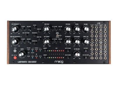 Moog Music Labyrinth