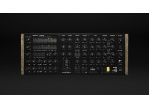 Black Corporation Kijimi MK2