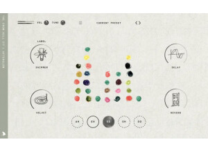 The Crow Hill Company Dot Allison Dulcet Voice