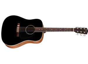 Eastman PCH2-D