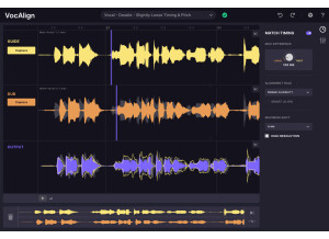 Synchro Arts VocAlign 6