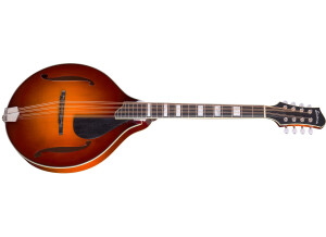 Eastman MDO605