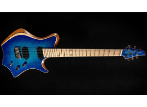 Walko Guitars Arsis