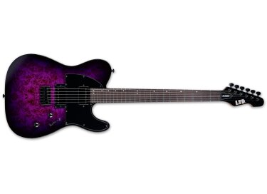 LTD TE-200DX