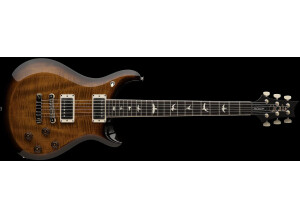 PRS S2 McCarty 594 (2024)