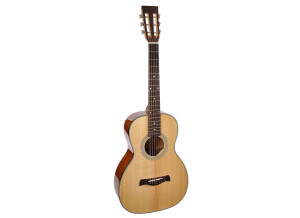 Richwood Guitars P-40