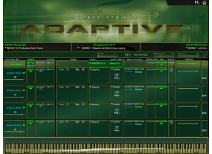 Kirk Hunter Studios Chamber Strings Adaptive