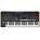 Voir la photo du Moog Music Muse Moog Music Muse