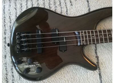 Ibanez SR810