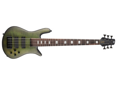 Spector Euro 6 LX (2024)