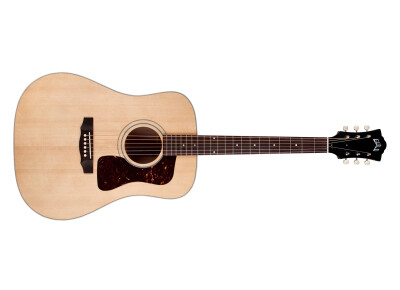 Guild USA D-40 Standard