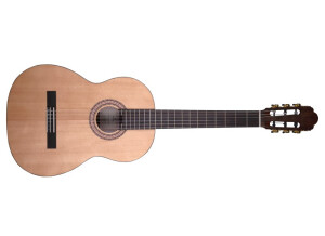Prodipe Guitars Primera 3/4