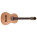 See the photo of the Prodipe Guitars Primera 4/4 EQ Prodipe Guitars Primera 4/4 EQ