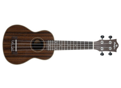 Prodipe Guitars BS220