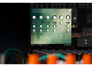 Puremagnetik Woolren