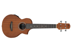 Ibanez UEW5E