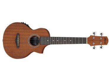 Ibanez UEW5E
