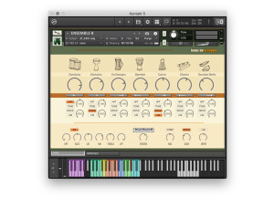 Loops de la Crème Magic African Drums