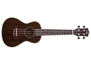 Prodipe Guitars BC220