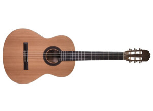 Prodipe Guitars Student 4/4
