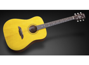 Framus Legacy FD 14 SV