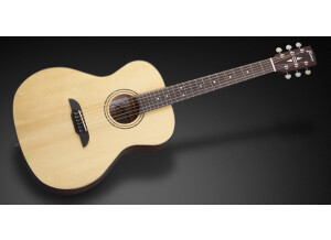 Framus Legacy FG 14 SV